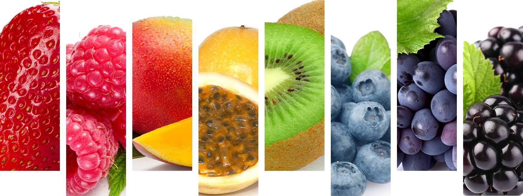 Fruit header